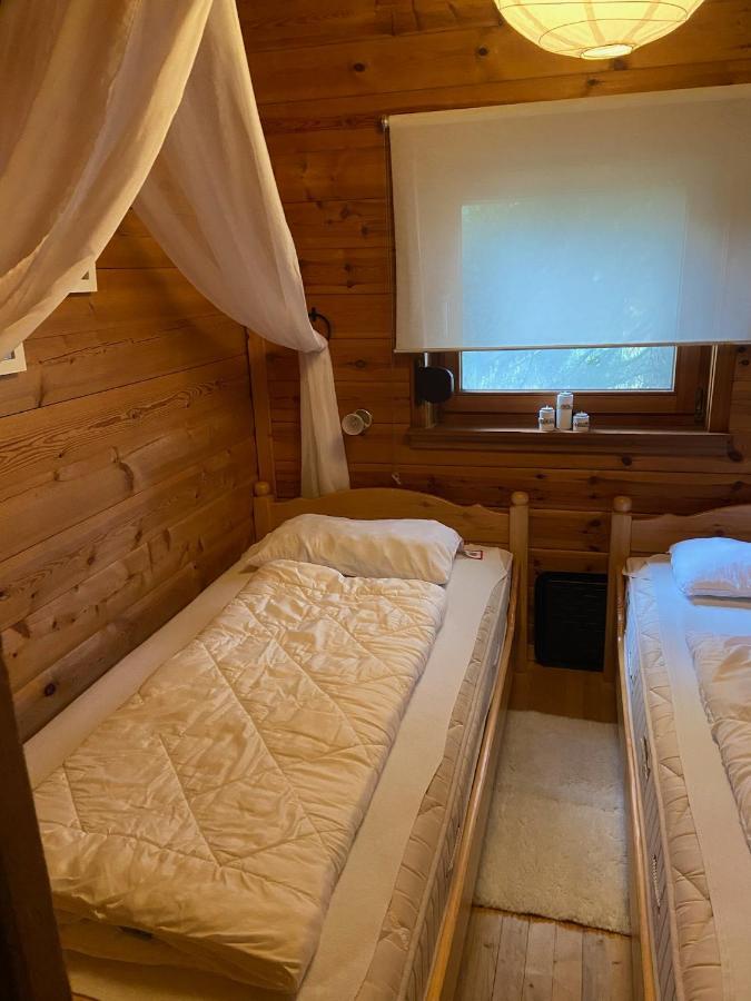Blockhaus Ferienzauber Villa Bromskirchen ภายนอก รูปภาพ